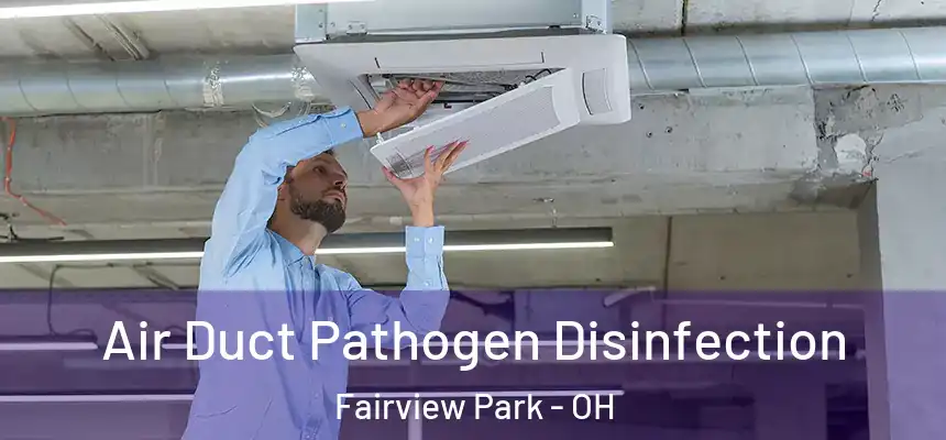  Air Duct Pathogen Disinfection Fairview Park - OH