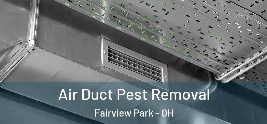  Air Duct Pest Removal Fairview Park - OH