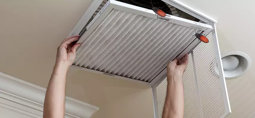 Preventive Cockroach-Proofing for Ducts in Fairview Park