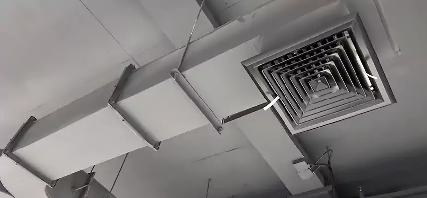 Restorative Allergy Relief Vent Cleaning – Coil, Blower & Housing Detail in Fairview Park