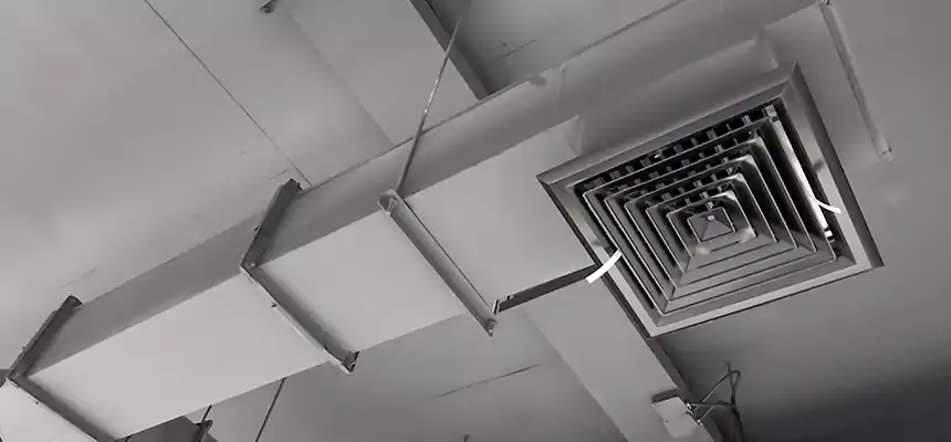 Our Rodent Droppings In Vents Services in Fairview Park, OH