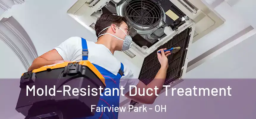  Mold-Resistant Duct Treatment Fairview Park - OH